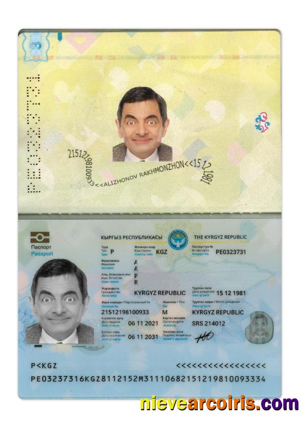 Kyrgyz passport 2021-present